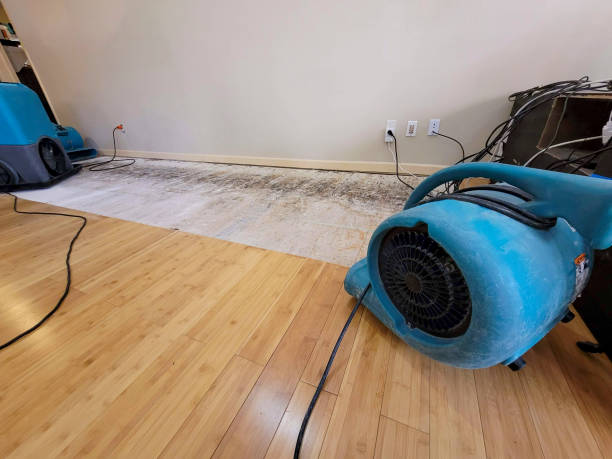 Professional Sewage Cleanup technician working in De Soto, WI